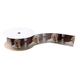 Baby Yellow Labrador Puppy Hund liegt auf Bauch Satinband