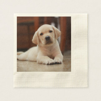 Baby Yellow Labrador Puppy Hund liegt auf Bauch Serviette