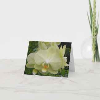 Baby Yellow Orchid Note Card Karte