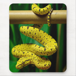 Baby Yellow Phase Green Tree Python Snake Mousepad