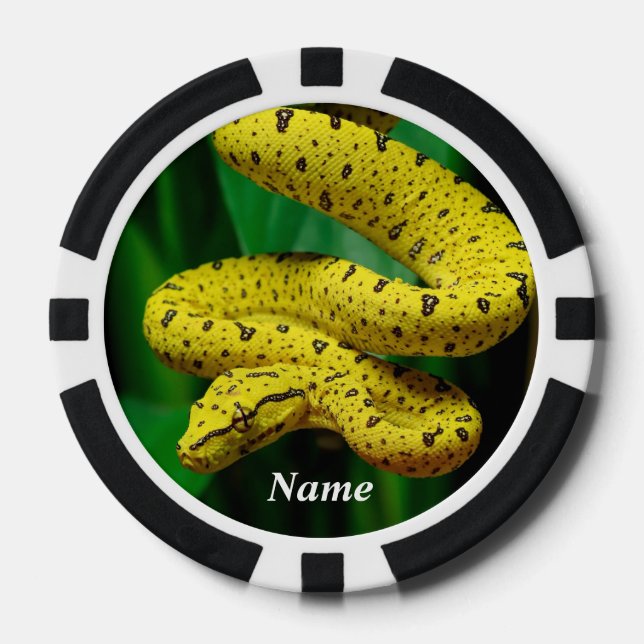 Baby Yellow Phase Green Tree Python Snake Pokerchips (Vorderseite)