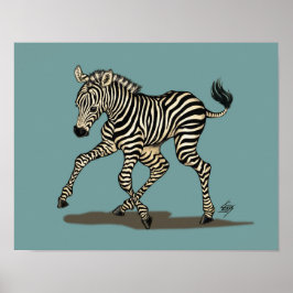 Baby zebra auf blauem Hintergrund Poster