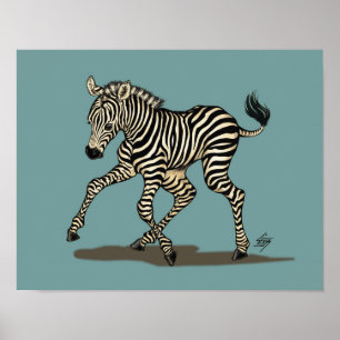 Baby zebra auf blauem Hintergrund Poster