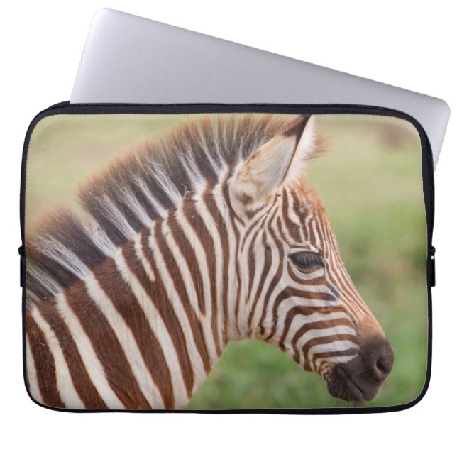 Baby zebra head, Tansania Laptopschutzhülle (Vorderseite)