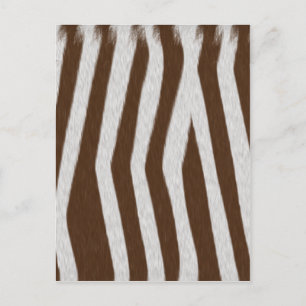 Baby-Zebra Postkarte