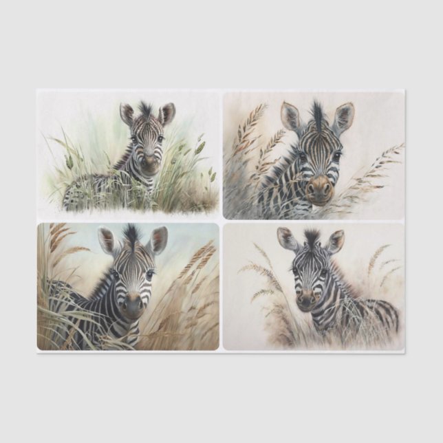 Baby Zebra Tissue Paper Seidenpapier (Vorderseite)