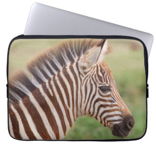 Baby-Zebrakopf, Tansania Laptopschutzhülle