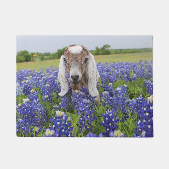 Baby-Ziegen-Fußmatte Fußmatte (Vorderseite)