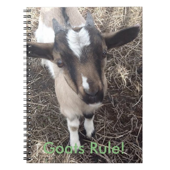 Baby-Ziegen-Notizbuch Notizblock (Vorderseite)