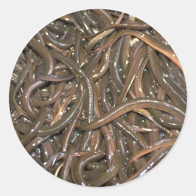 Babyaale Runder Aufkleber (Vorderseite)