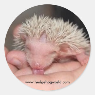 Babyaufkleber Runder Aufkleber