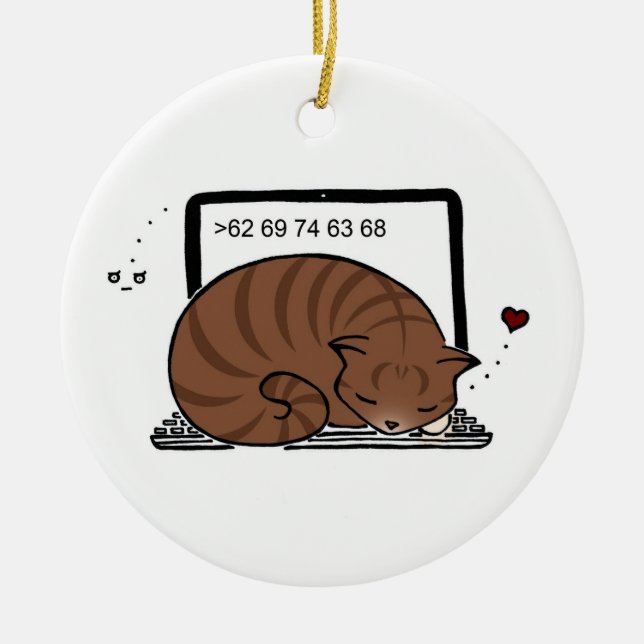 Babybett für Laptops (Brauner Tabby) Keramik Ornament (Vorne)