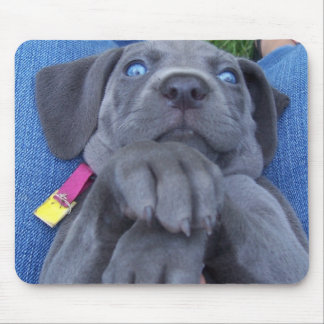Babyblau weimeraner mousepad