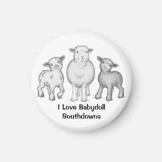 Babydoll Sheep Magnet