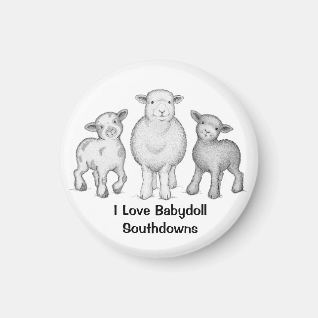 Babydoll Sheep Magnet (Vorne)