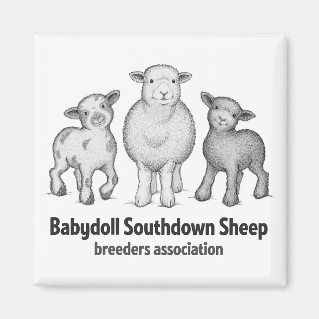 Babydoll Sheep products Magnet (Vorne)
