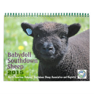 Babydoll Southdown Sheep 2015 NABSSAR-Kalender Kalender
