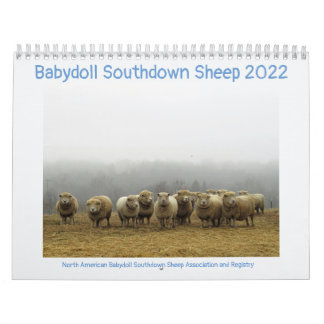 Babydoll Southdown Sheep 2022 NABSSAR-Kalender Kalender