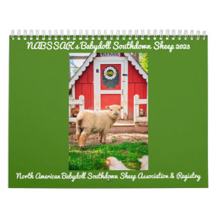 Babydoll Southdown Sheep 2023 NABSSAR-Kalender Kalender