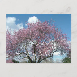 Babydusche, Frühlingskirschblüte Einladungspostkarte