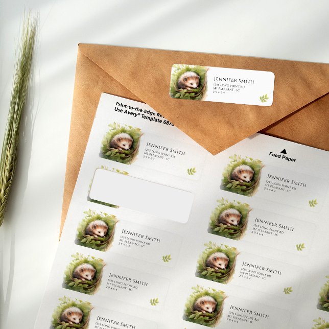 Babydusche für Igel mit Wasserfarbe (Von Creator hochgeladen)