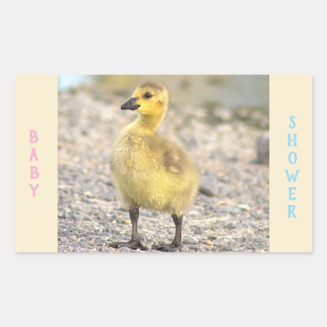 Babydusche Gosling Stickers (Vorderseite)
