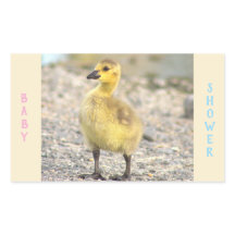 Babydusche Gosling Stickers