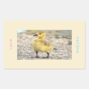 Babydusche Gosling Stickers
