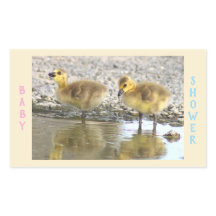 Babydusche Goslings Stickers