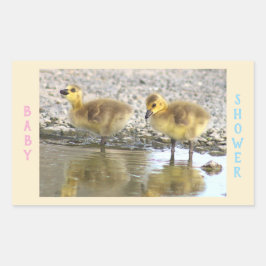 Babydusche Goslings Stickers