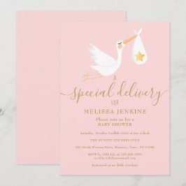 Babydusche Sprinkle Special Delivery Stork Pink Einladung
