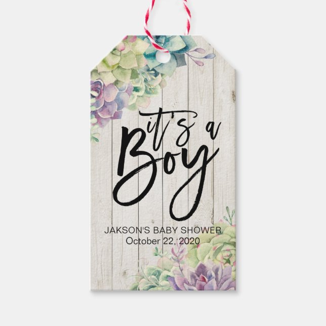 Babydusche Wasserfarbe Sukkulente Pflanze Weißholz Geschenkanhänger (Vorderseite)