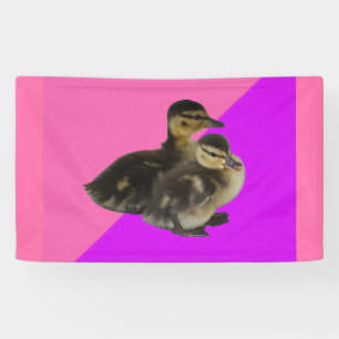 Babyenten auf rosa Himbeere und Lila Sorbet Banner