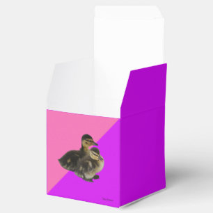 Babyenten auf rosa Himbeere und Lila Sorbet Geschenkschachtel