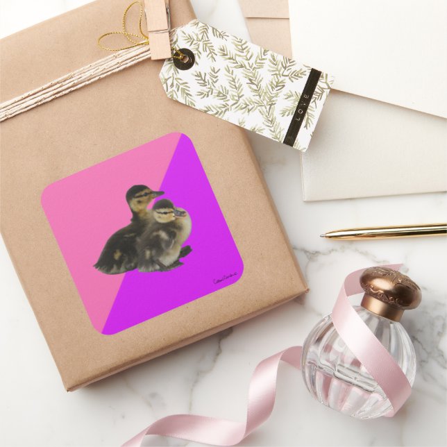 Babyenten auf rosa Himbeere und Lila Sorbet Quadratischer Aufkleber (Schenken)