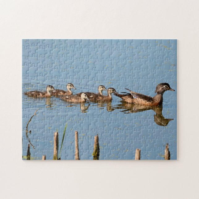 Babyenten in Folge des Mama Jigsaw Puzzle (Horizontal)