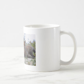 Babyfox-Tasse Tasse