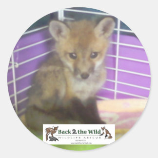 Babyfuchs Runder Aufkleber
