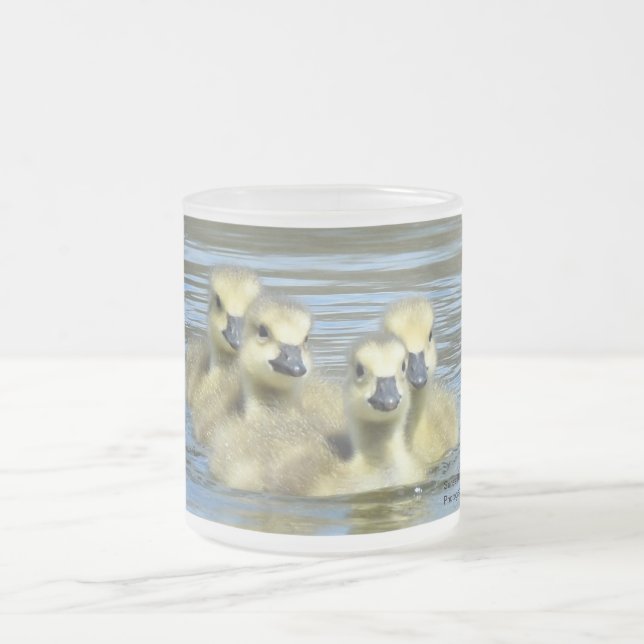 Babygänse Mattglastasse (Mittel)