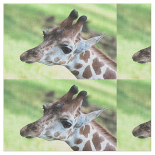Babygiraffe Stoff