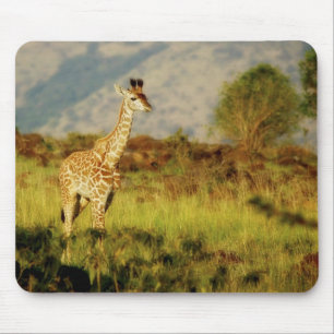 Babygiraffen-wild lebende Tiere mousepads