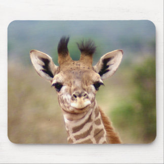 Babygiraffenbild, Kenia, Afrika | Mousepad