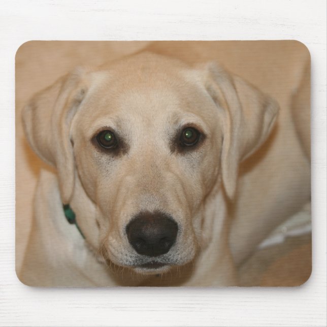 BabyGus Mousepad (Vorne)