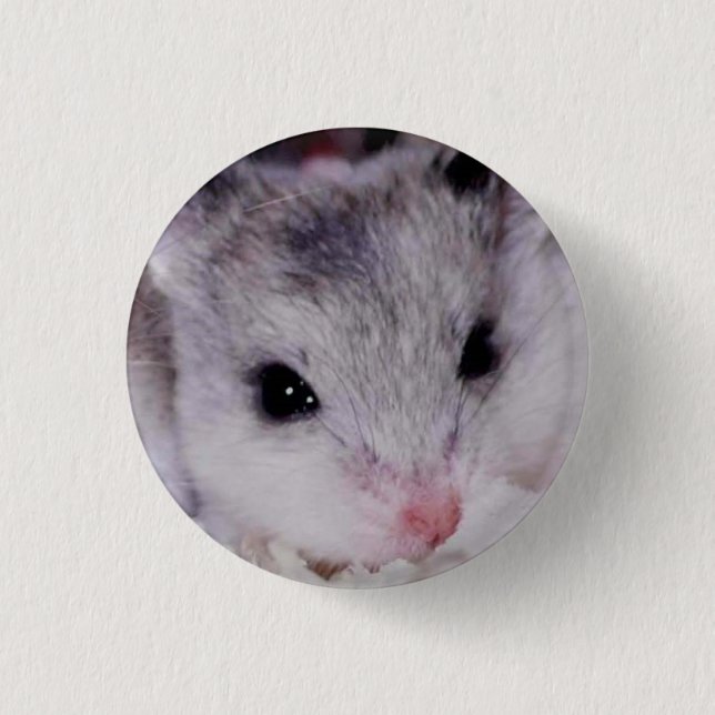 babyham button (Vorderseite)