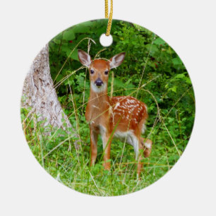 Babyhirsch im Wald Naturfotografie Keramik Ornament