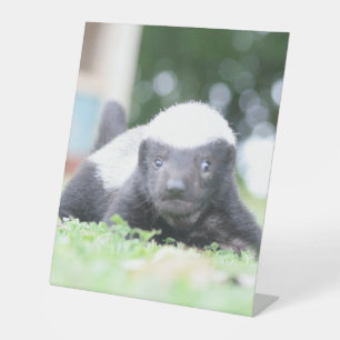 Babyhonigausweis auf grünem Grasfoto Sockelschild