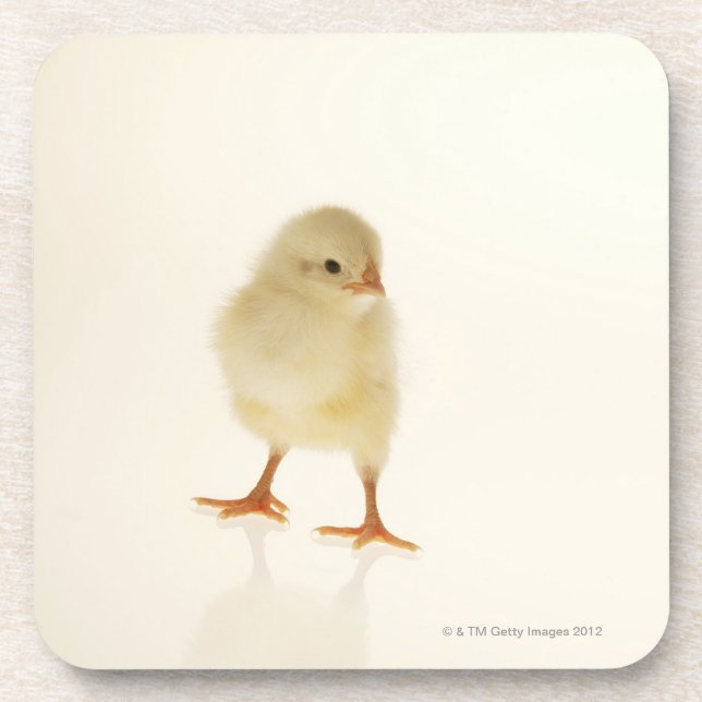 Babyhuhn Getränkeuntersetzer (Vorderseite)