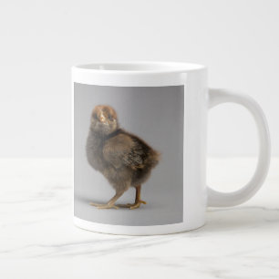 Babyhuhn Jumbo-Tasse