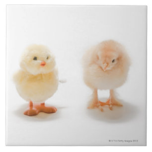 Babyhuhn und mechanisches Huhn des Fakes Fliese