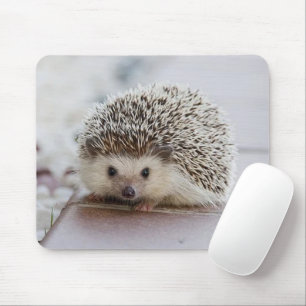 Babyigel Mousepad